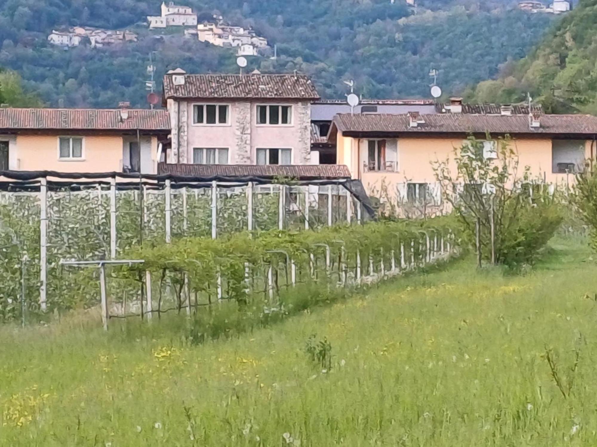Cascina Legnago Bilocale A 6 Chilometri Da Salo' Apartment Villanuova sul clisi Luaran gambar