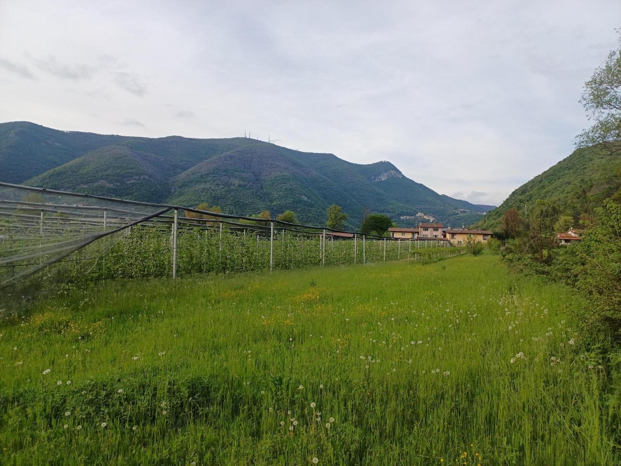 Cascina Legnago Bilocale A 6 Chilometri Da Salo' Apartment Villanuova sul clisi Luaran gambar